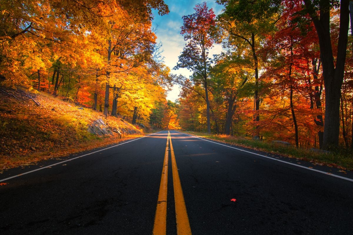 fall in Michigan